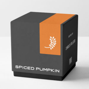 11-November—Spiced-Pumpkin-BOX