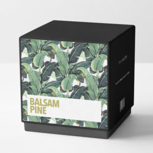box-balsam-pine